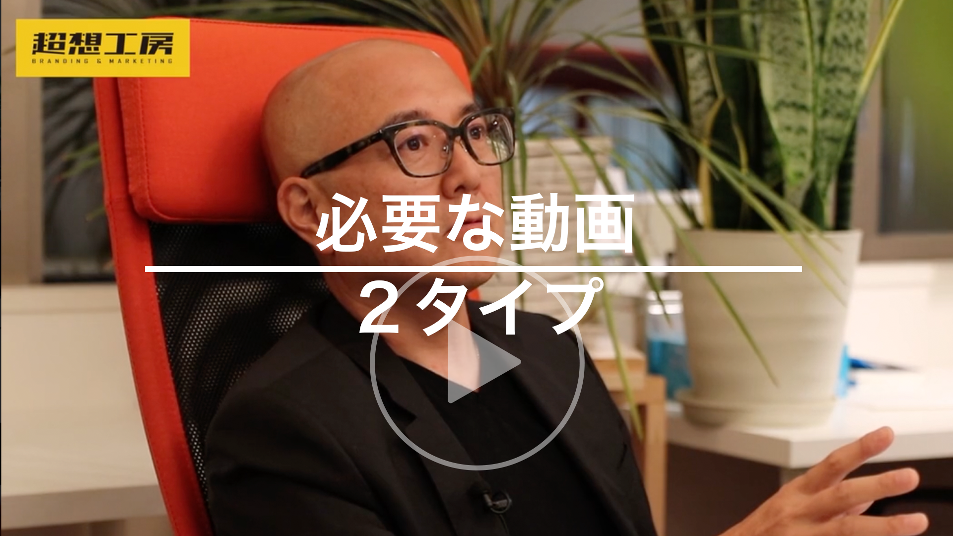 ceo